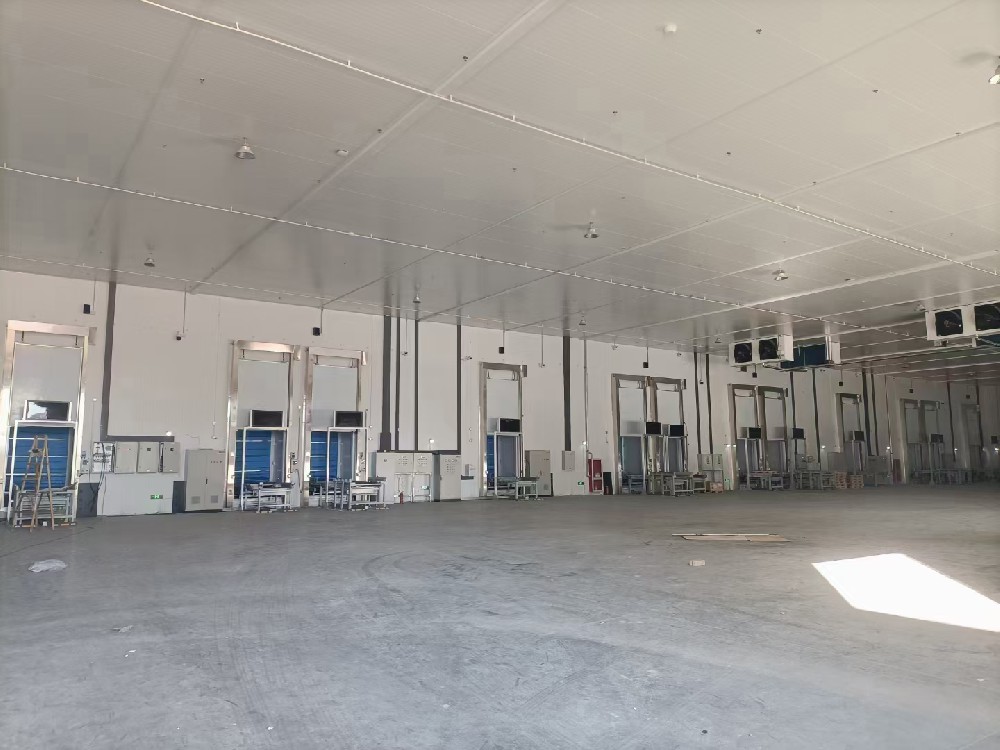 Vertical lift door